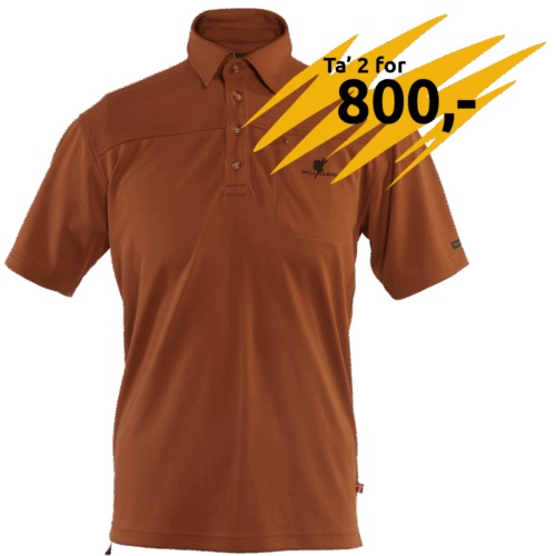 Marocco herrepolo - Rust